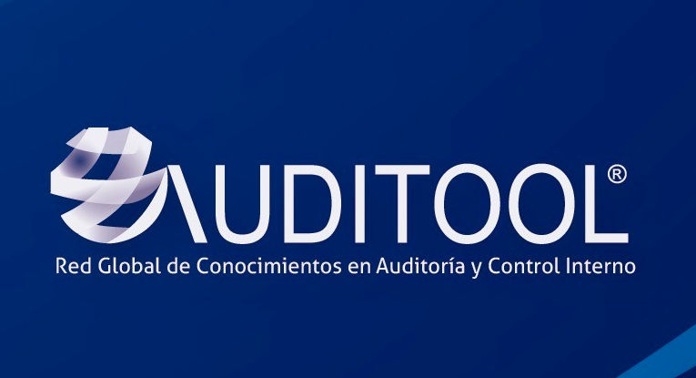 El comité de auditoría y su relación con el riesgo